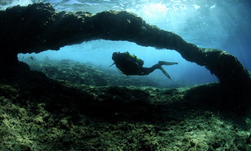 Els fons marins de Benidorm són tot un reclam per als bussejadors.